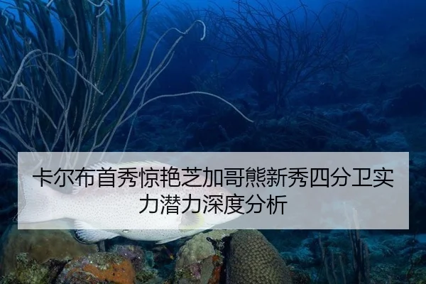 ka-er-bu-shou-xiu-jing-yan-zhi-jia-ge-xiong-xin-xiu-si-fen-wei-shi-li-qian-li-shen-du-fen-xi-2-280.jpg